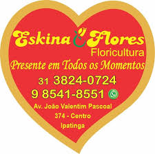 ESKINA FLORES
